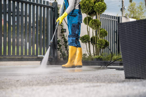 Best Window and Screen Pressure Cleaning in Markle, IN